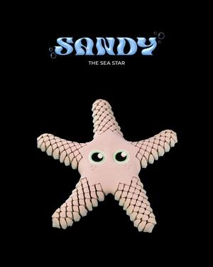 Sandy, the Sea Star 