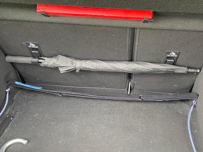 Umbrella Hanger for Ford Focus/Puma/Fiesta - ST Logo