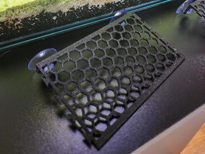 Linking Moss Shelf