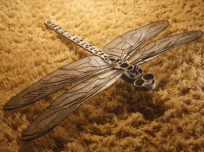 Wings of Light and Shadow