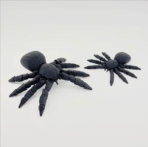Flexi Spider (Detailed)