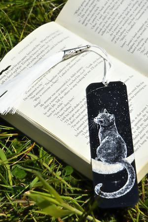 Cat on the Moon