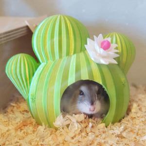 Hamster House "Spiky Spot"