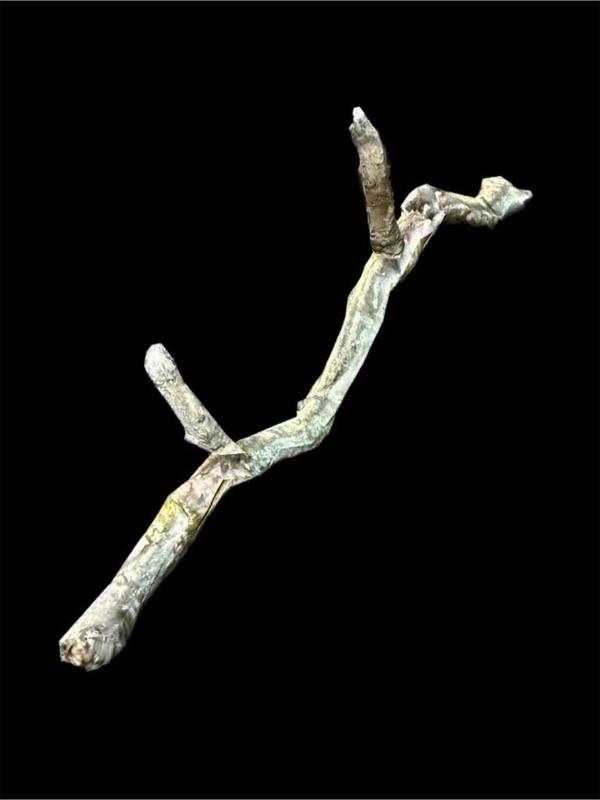 Hunt Showdown Stick