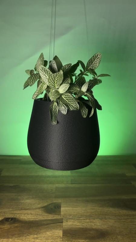 Simple Fuz - Hanging Pot