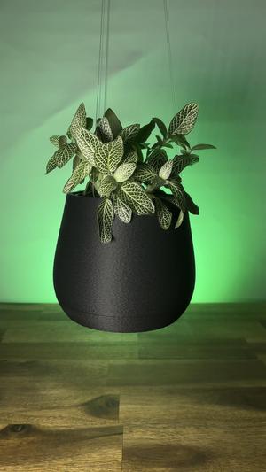 Simple Fuz - Hanging Pot
