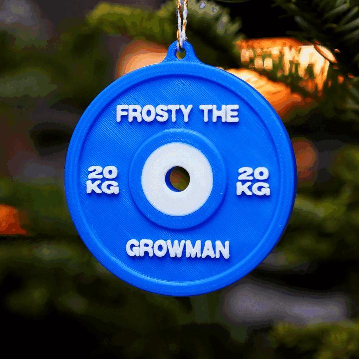 4 x Weight Plates Christmas Ornament [METRIC]