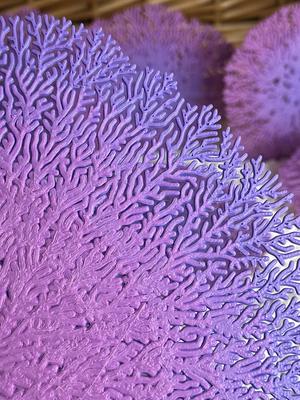 Radial Mycelium - Large