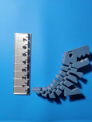 small ruler