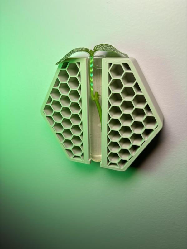 Hex Infill - Wall Mountable Propagation Station