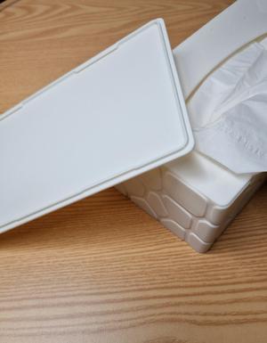 Voronoi tissue box with snap lid
