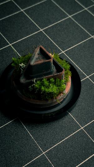 TERRA - Custom Terrarium 