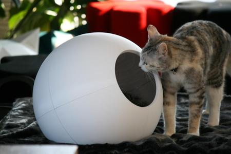 HOUSE FOR CAT SPHERE -  Follow us: linktr.ee/catalpine