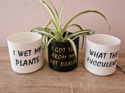 Cheek-E Plant Pots