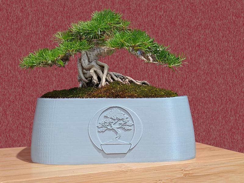 Modern Mininalist Bonsai Planter Pot 