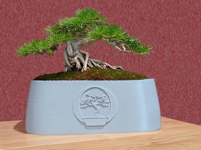 Modern Mininalist Bonsai Planter Pot 