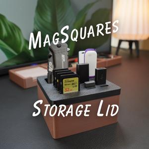 1x1 Storage Lid - MagSquares