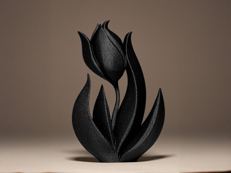 Tulip Decor