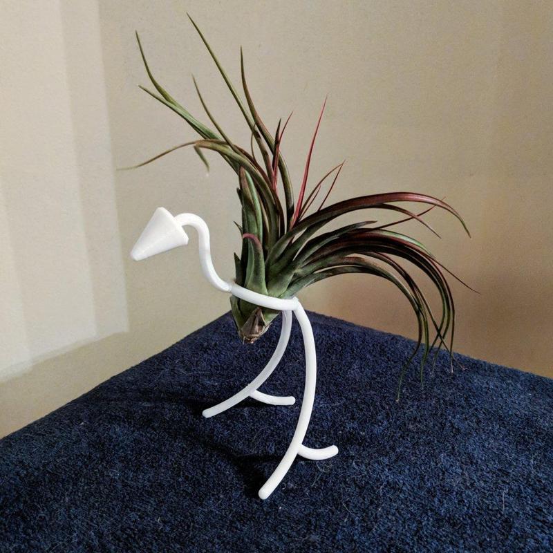 Bird Air Plant Holder