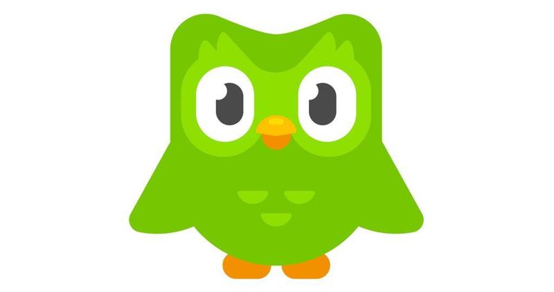 Duo the owl