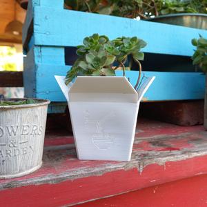 Chinese Succulent Takeout Box Planter