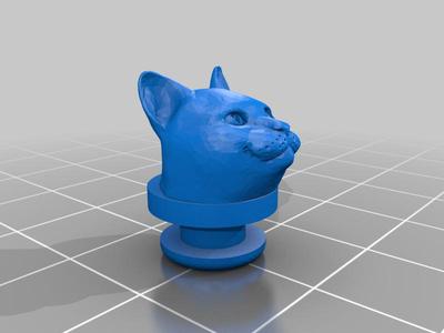 Happy Cat croc charm   (No supports!)