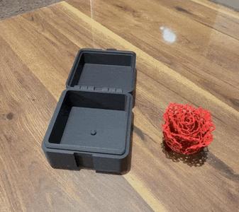 ETERNAL FLOWERS IN A BOX / PRINT IN PLACE BOX / ROSE / TULIP / VORONOI