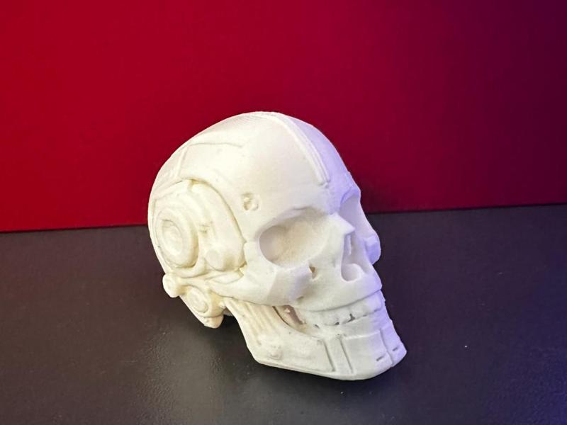 Cyberpunk Skull