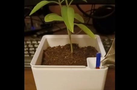 Overdesigned self watering plant pot with wick attachment