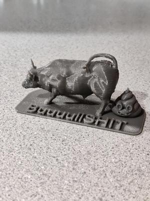 Buuuullshit Display