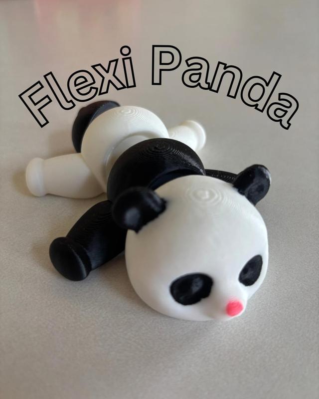 Flexi Panda