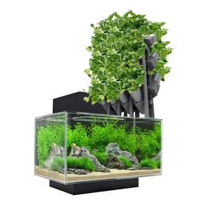 Modular Aquaponics Setup