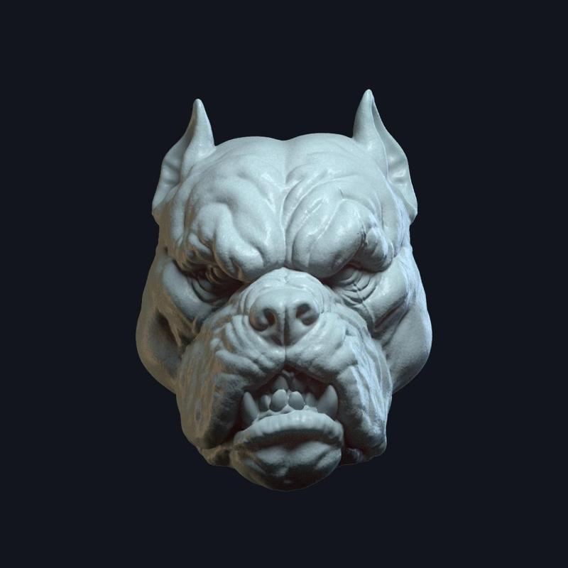 Tarek DreadBone v3 Action Figure Head
