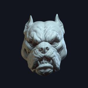 Tarek DreadBone v3 Action Figure Head
