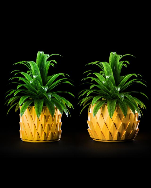 Modern Planter pot | Pina Collection | Set of 2 pots