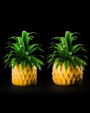 Modern Planter pot | Pina Collection | Set of 2 pots