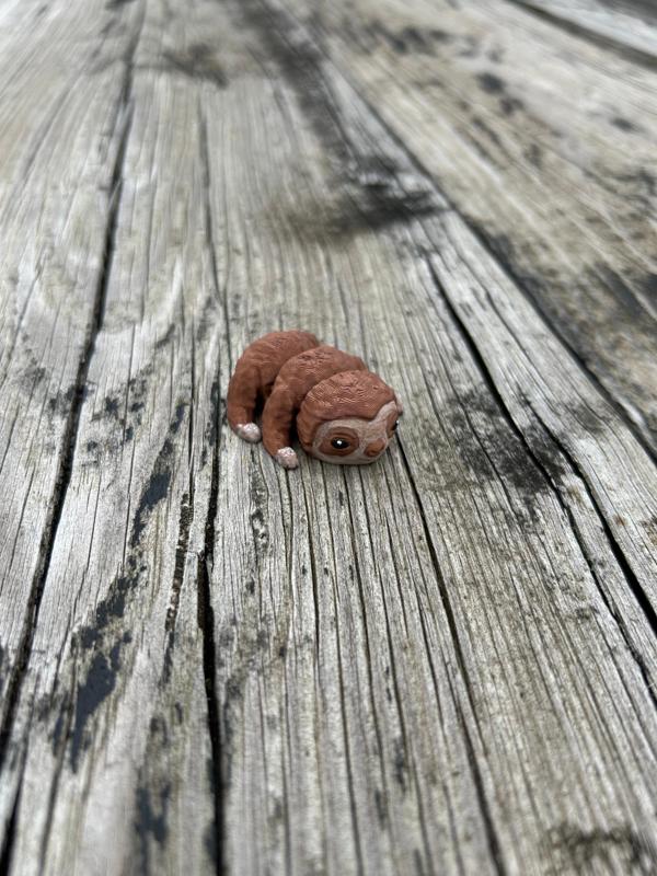 Baby Sloth Fidget with solid legs