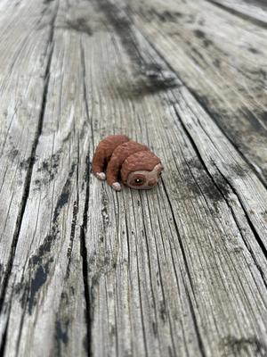 Baby Sloth Fidget with solid legs