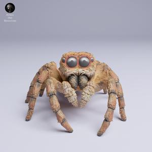 Jumping Spider  (Carrhotus xanthogramma)