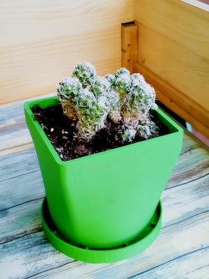 Minimalist pot with base.