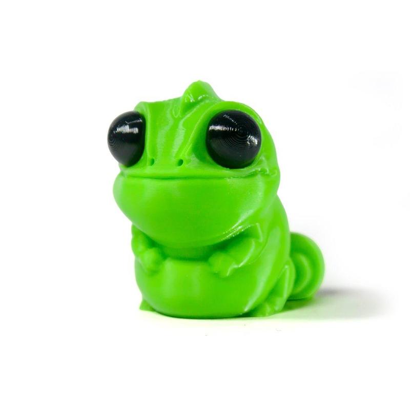 Baby Chameleon