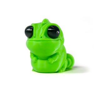 Baby Chameleon
