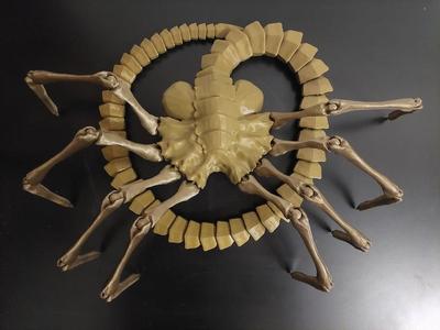 Facehugger body - remix