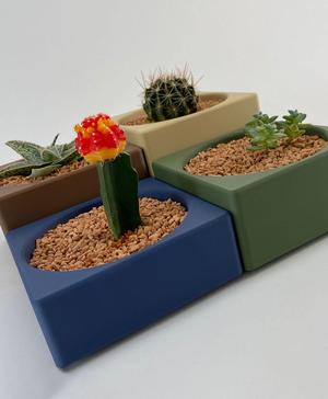 Planters for Succulent Plants - Modular Cacti Pots Set