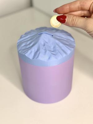 PINNACLE mountain money box I piggy bank