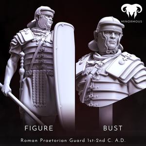 Bundle - Roman Praetorian Guard 1st-2nd C. A.D. Ready for the Roman games!