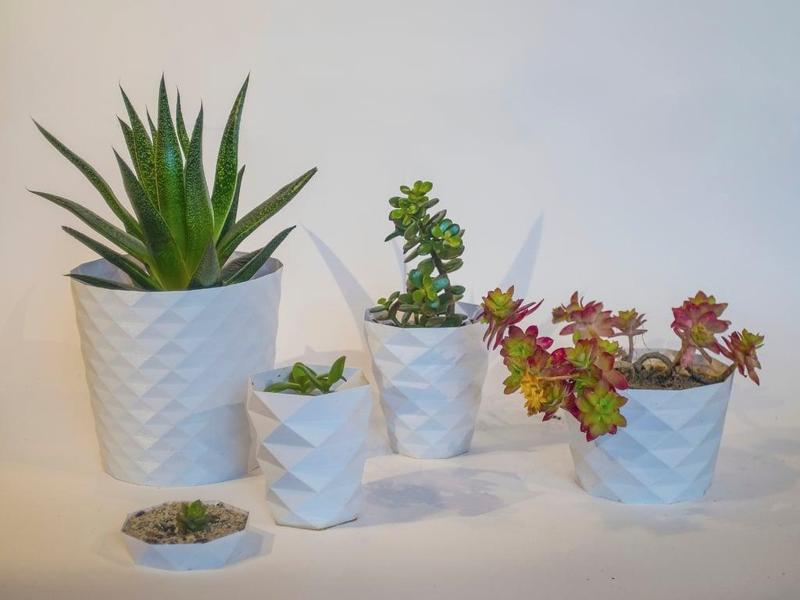 Parametric flower pots