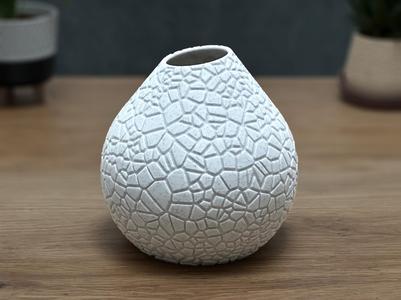 Fractura Vase