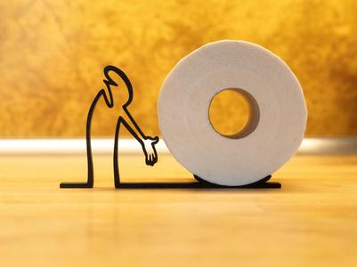 Minimalist and Functional - Toilet Paper Holder