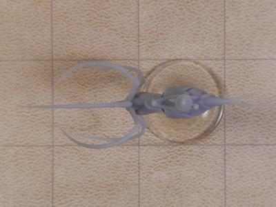Neogi Mindspider Ship Spelljammer Miniature from DnD